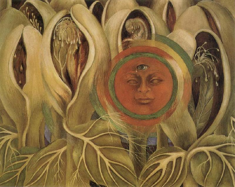 Frida Kahlo Sun and life